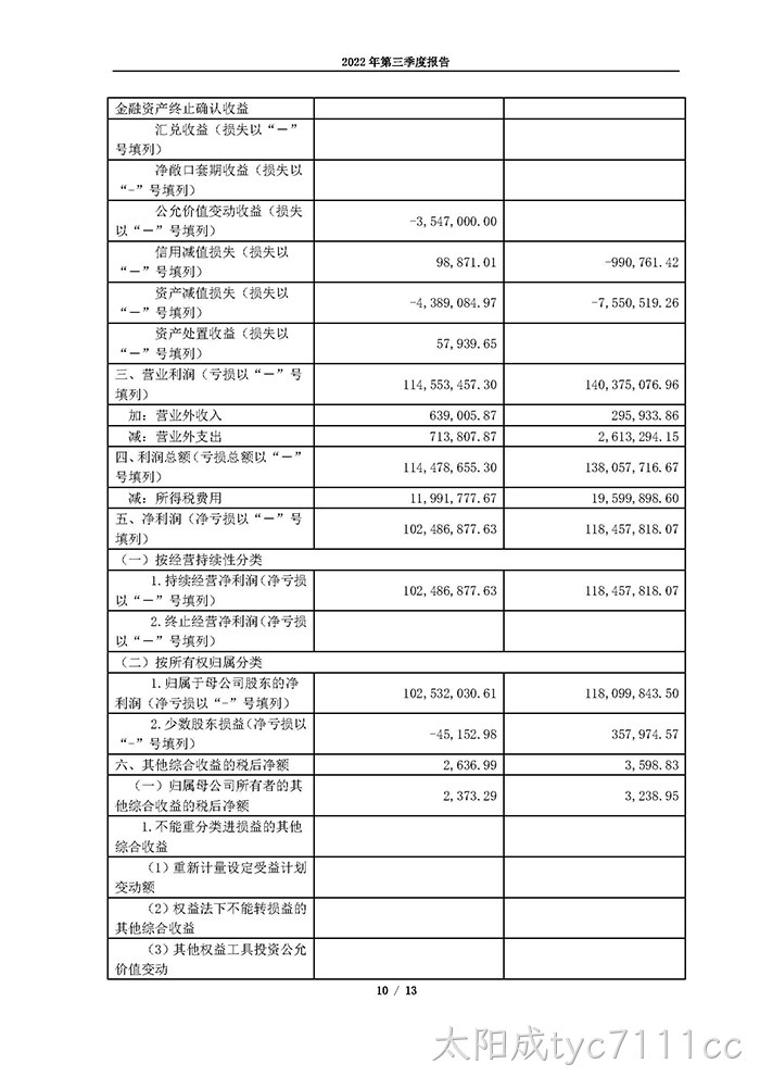 太阳成tyc7111cc2022年第三季度报告_页面_10