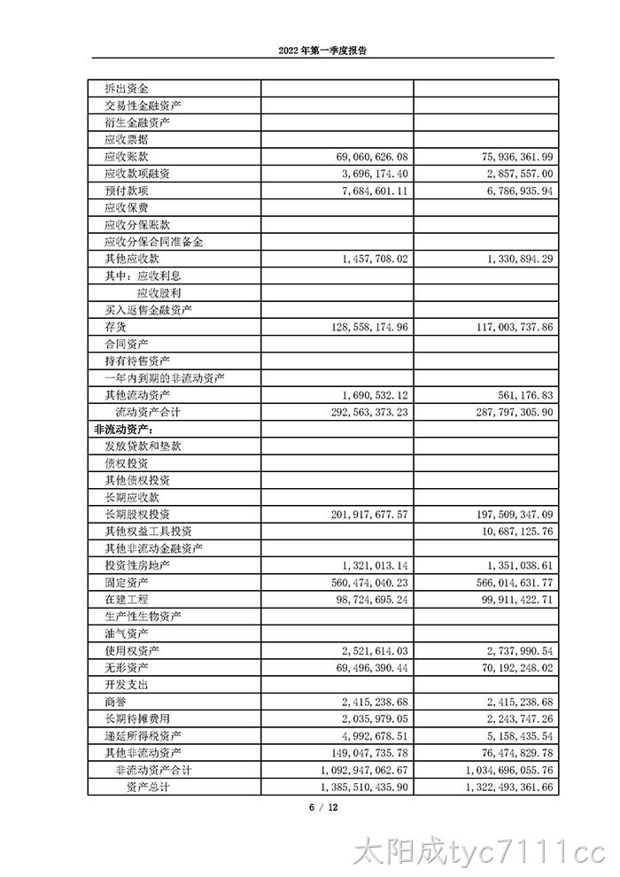 太阳成tyc7111cc2022年第一季度报告_页面_06