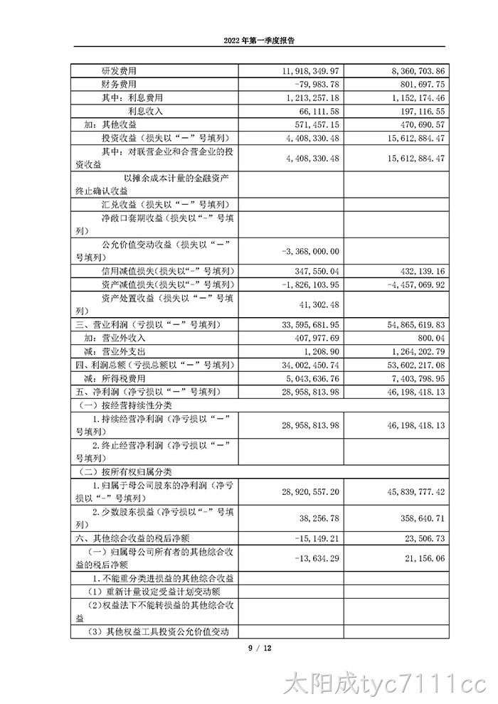 太阳成tyc7111cc2022年第一季度报告_页面_09