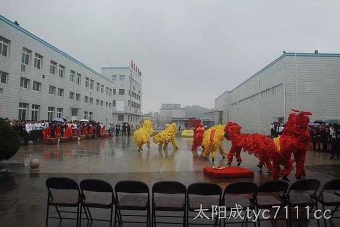 太阳成tyc7111cc上市周年庆